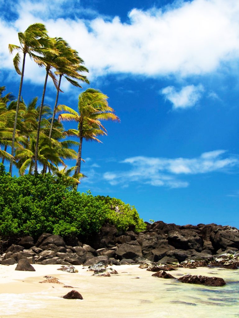 A Magical Oahu north shore,Hawaii pictures