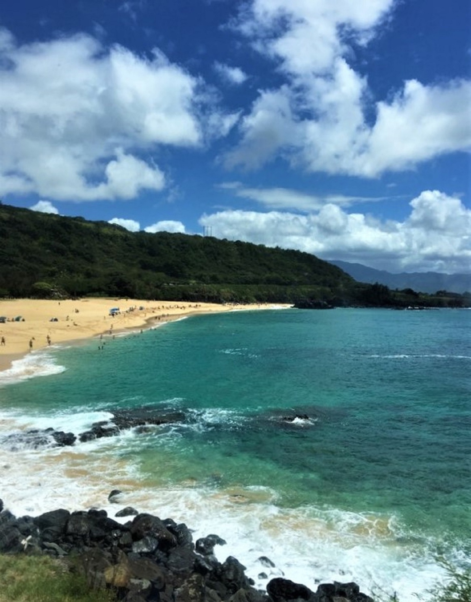 At the Beach! Tropical Vibes! Aloha! Hawaii!