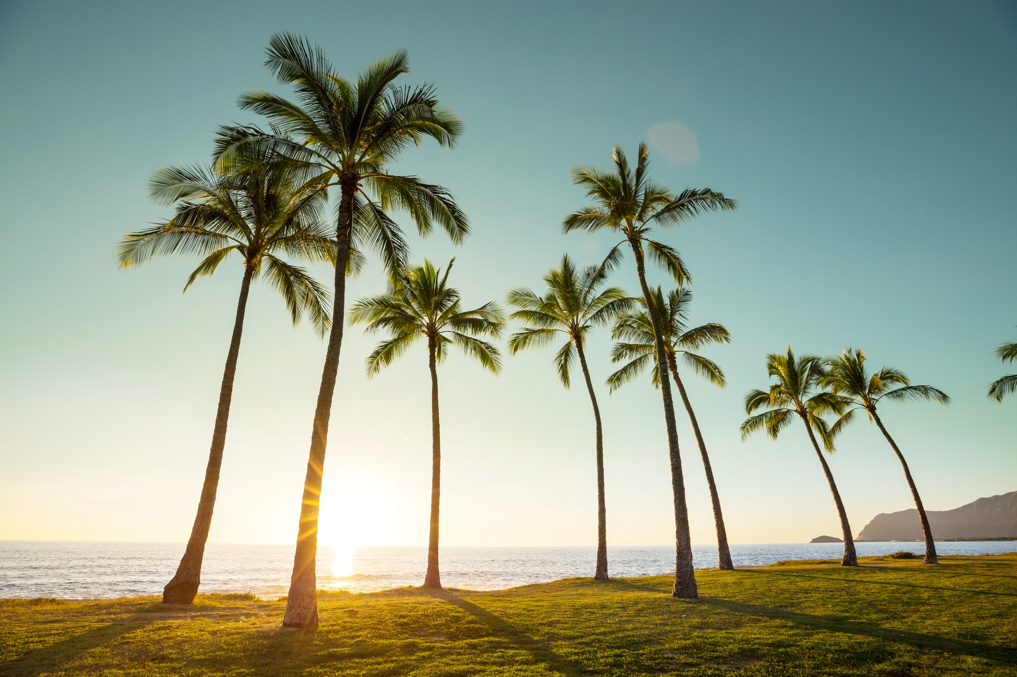 Hawaiian beach
