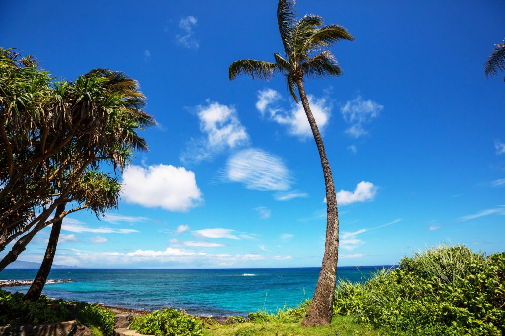 Hawaiian beach