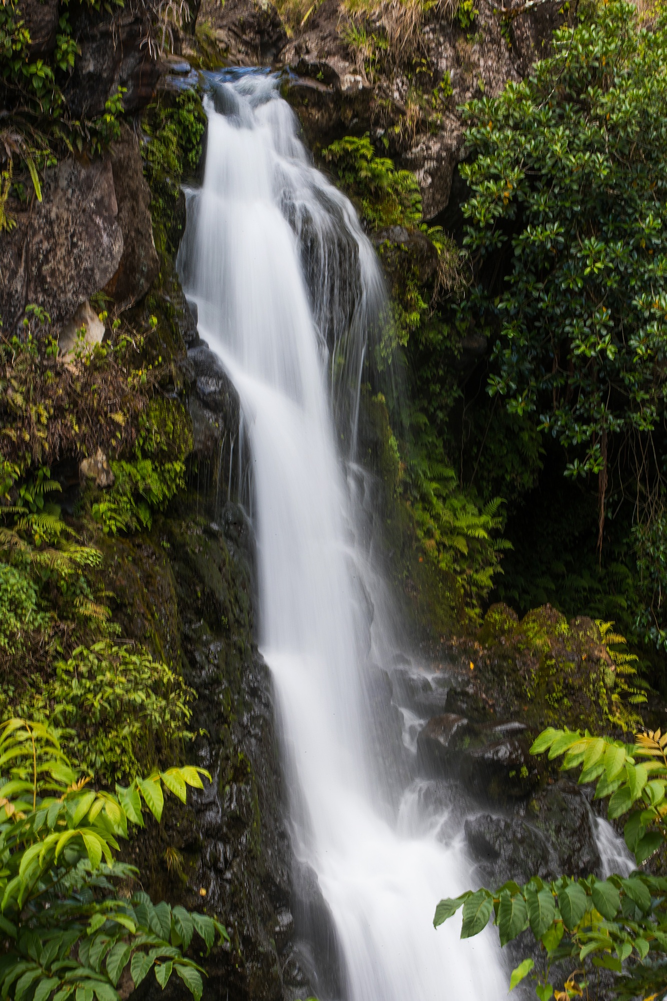Waterfall on the road to Hana in Maui, Hawaii